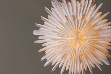 Sälen Adventsstjerne / Julelampe 60 cm - Hvid - Belysning - Julebelysning - Julelys