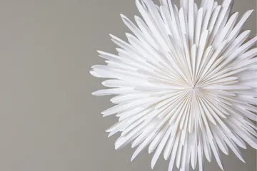 Sälen Adventsstjerne / Julelampe 60 cm - Hvid - Belysning - Julebelysning - Julelys