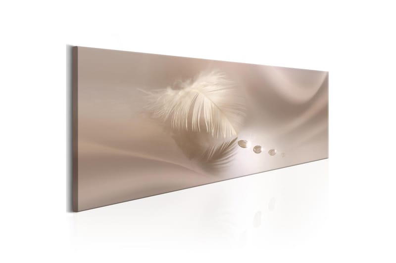 Bilde Delicate Feather 150x50, Artgeist sp. z o. o.