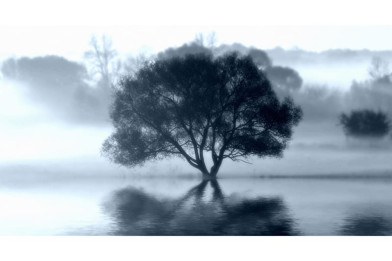 Kanvas Sprint Tree, 70x130cm