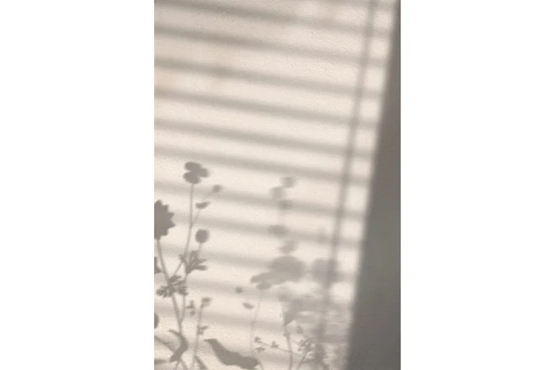Poster Flower Shadow 21x30 cm, Hvid