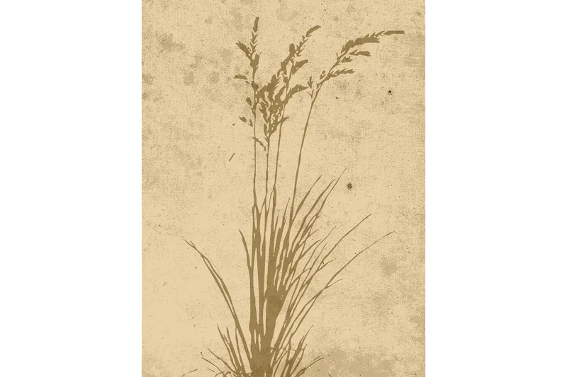 Poster Plant art 30x40 cm, Beige