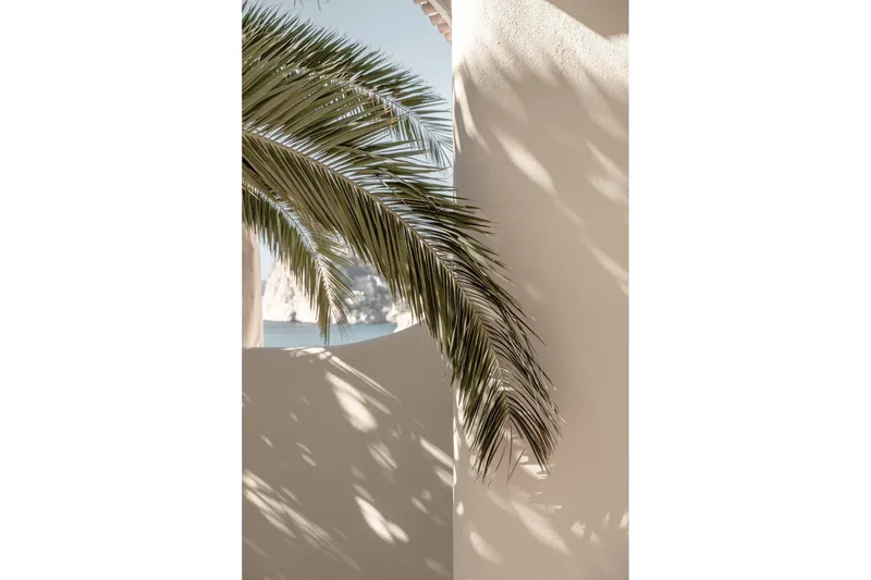 Poster Palmleaf 21x30 cm, Beige