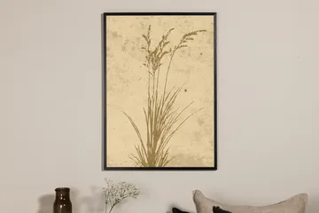 Poster Plant art 30x40 cm - Beige - Innredning - Bilder & kunst - Posters