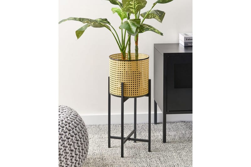 Inomhuskruka Beliani Fallopia Beige||Black - Innredning - Krukker