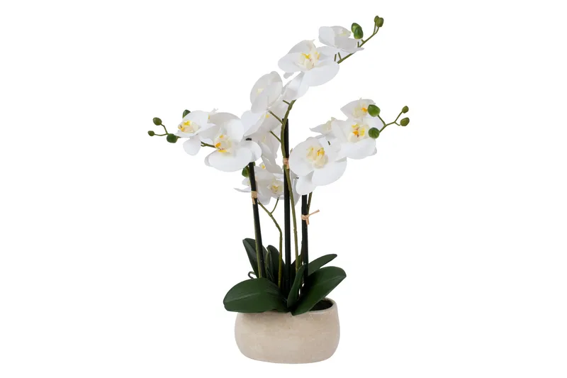 In Garden Kunstig Plante Orkide Hvit