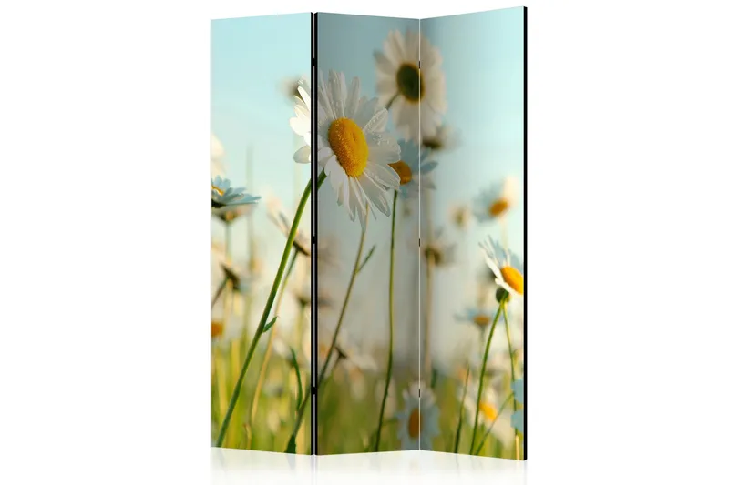 Romdeler Daisies - Spring Meadow, Artgeist sp. z o. o.