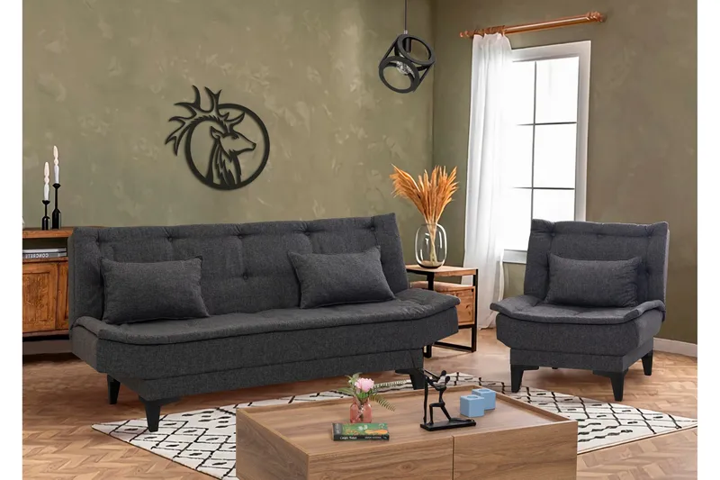 Lepinas Sofagruppe, Antrasitt