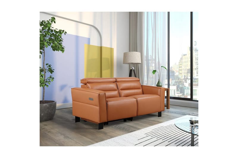 Carpari Reclinersofa 2-seter - Brun - Møbler - Sofaer - Reclinersofaer - 2 seters kinosofa & reclinersofa