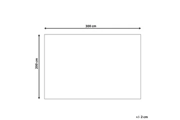 Matte Gesi II - Beige, 200x300 cm - Tekstiler - Tepper & Matter - Moderne tepper - Viskosematter